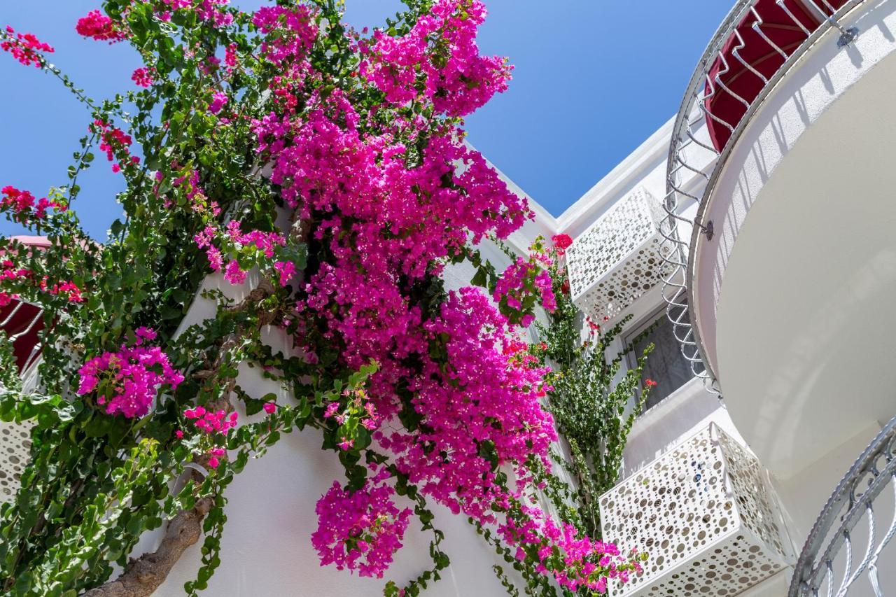 La Brezza Suite & Hotel Akyarlar Extérieur photo
